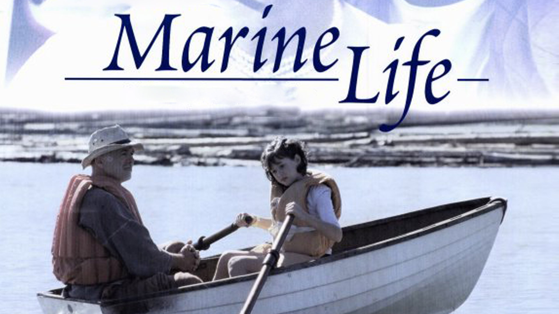 marine life