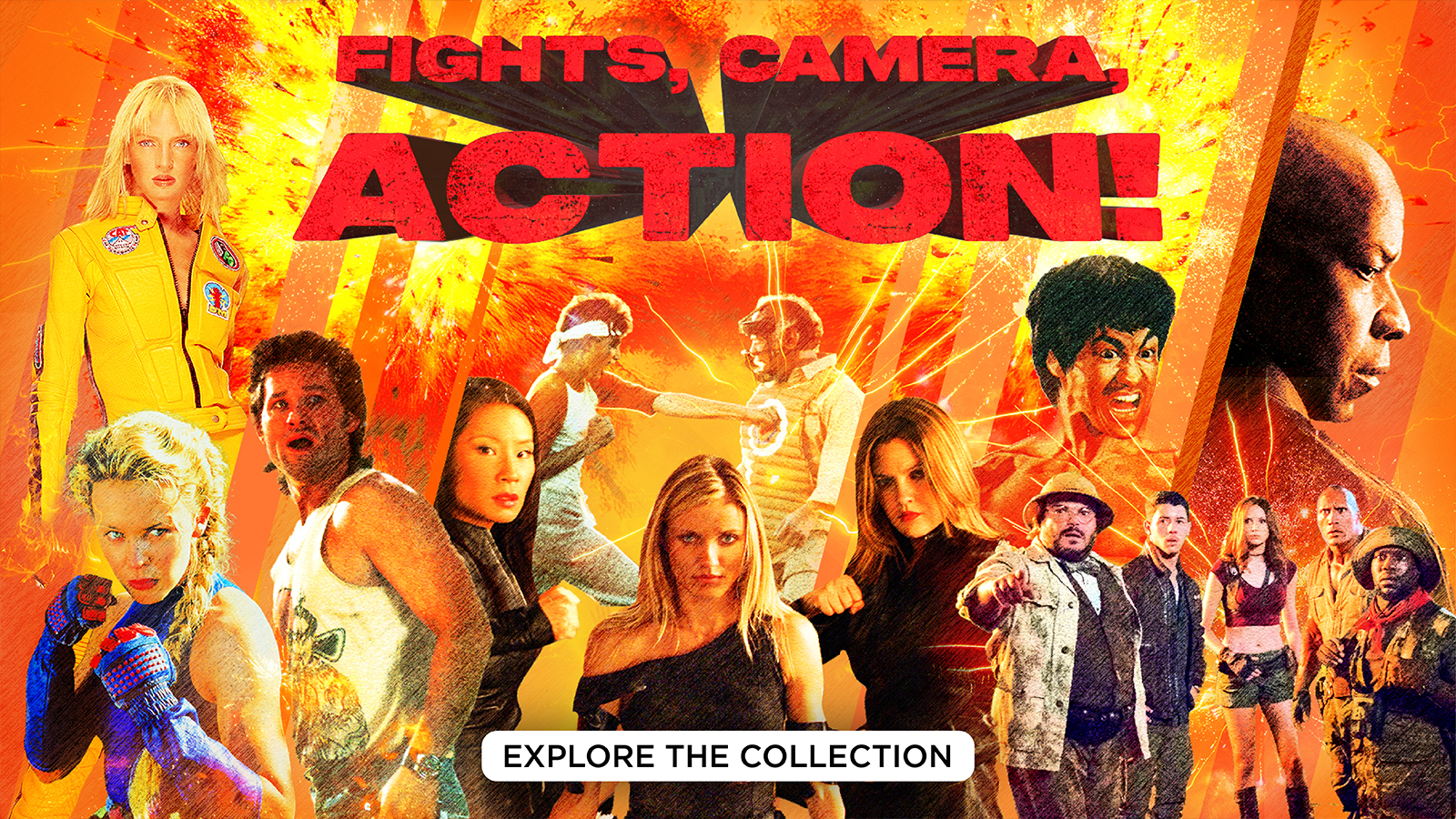 Fights, Camera, Action! Explore the Collection
