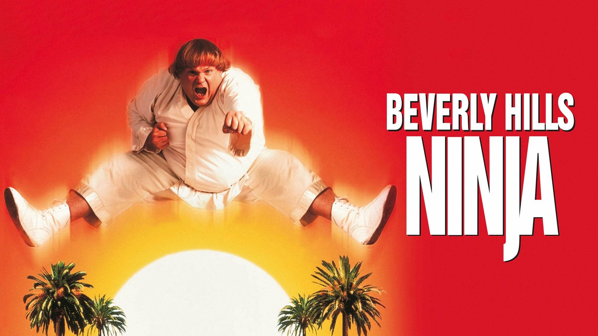 Beverly Hills Ninja