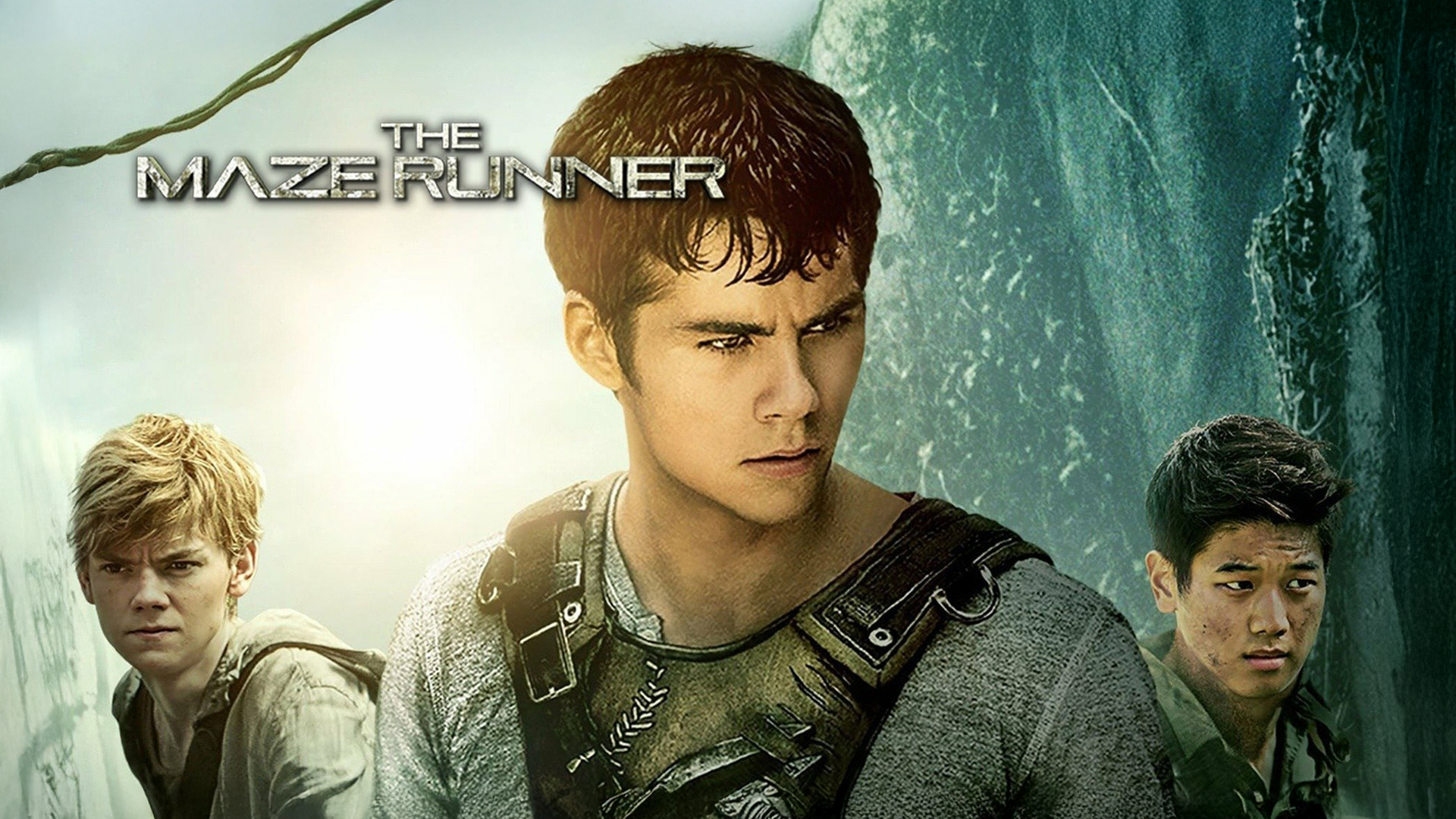The Maze Runner