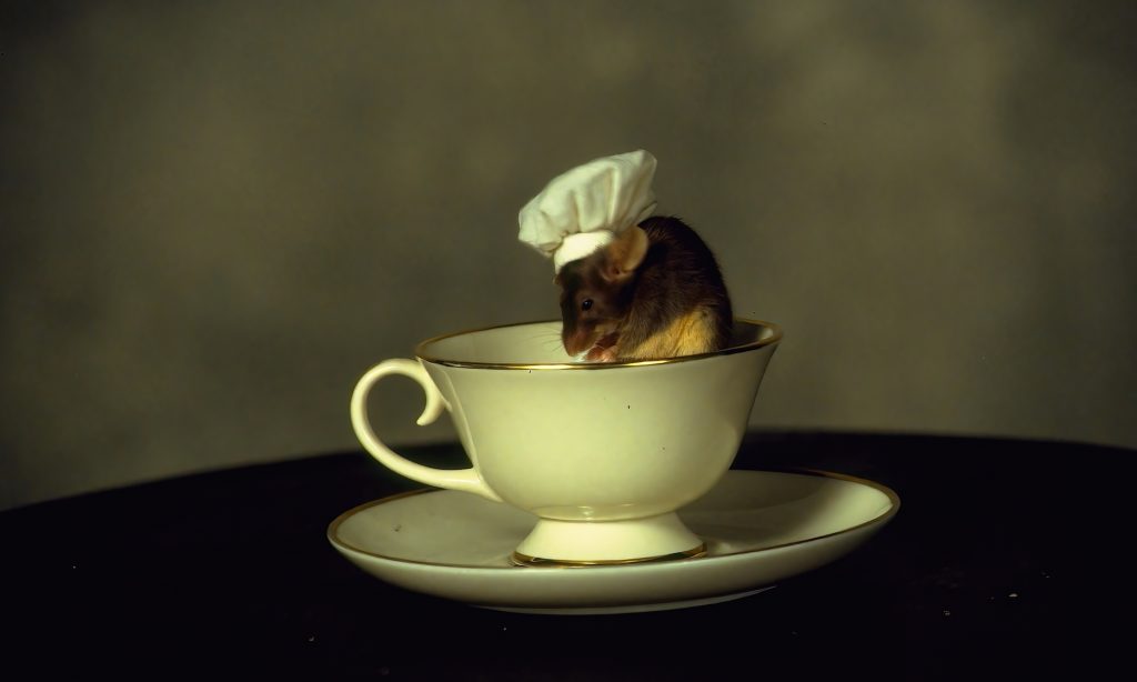 A mouse sitting in a tea cup wears a tiny chef's hat