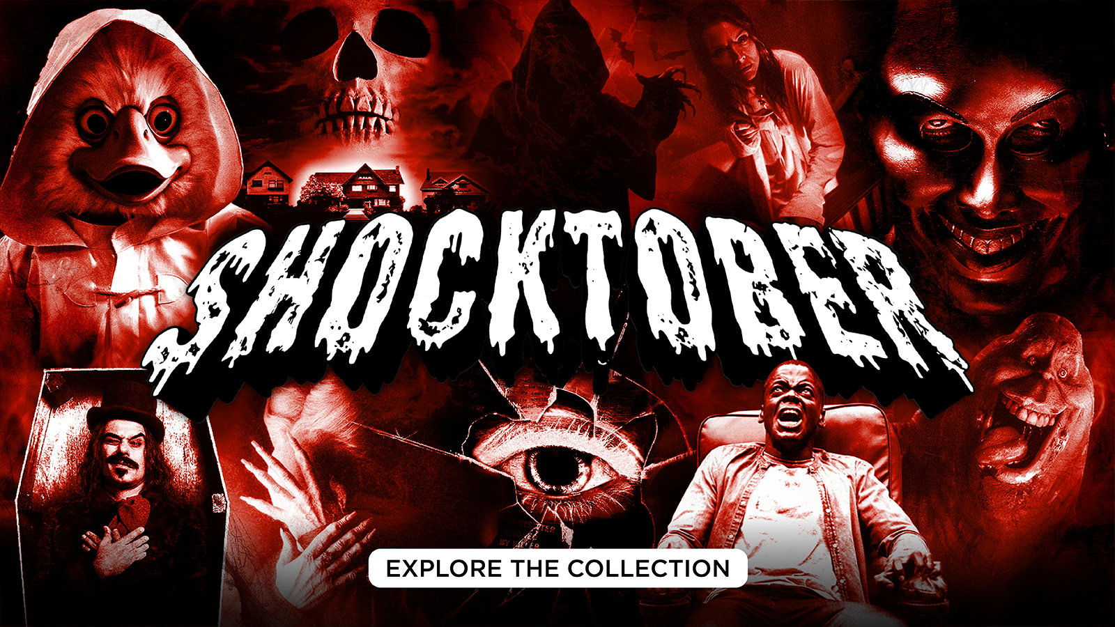 Shocktober - Explore the Collection