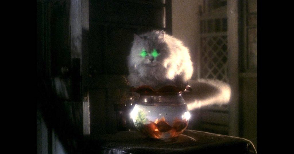 a white cat's eyes glow bright green as it perches on a fishbowl