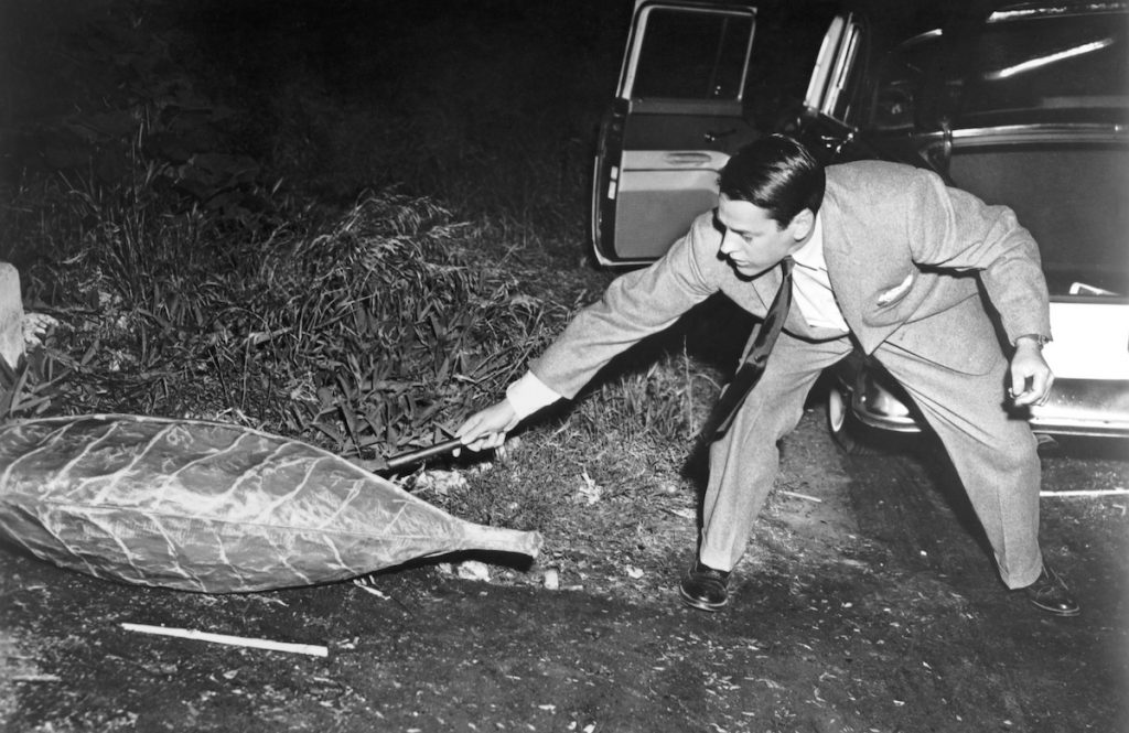 Kevin McCarthy investigates an alien seed pod in Invasion of the Body Snatchers 1956