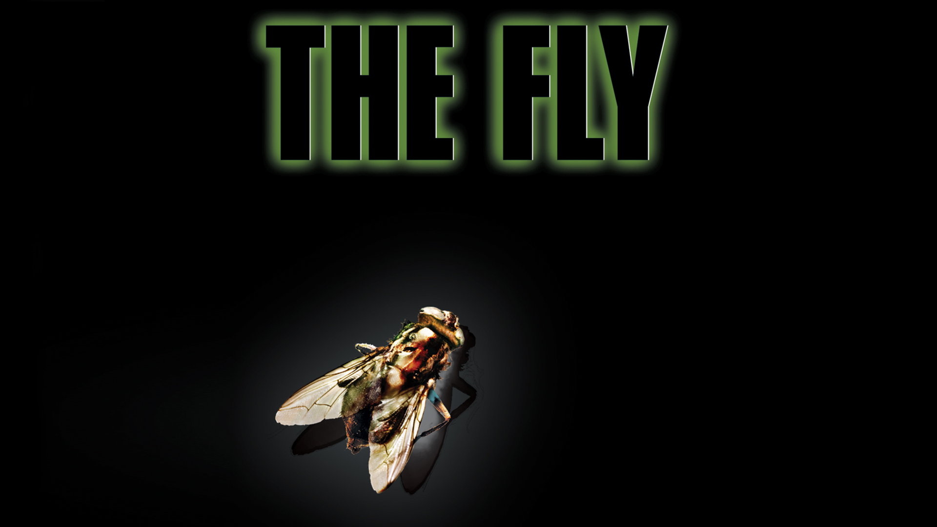 The Fly