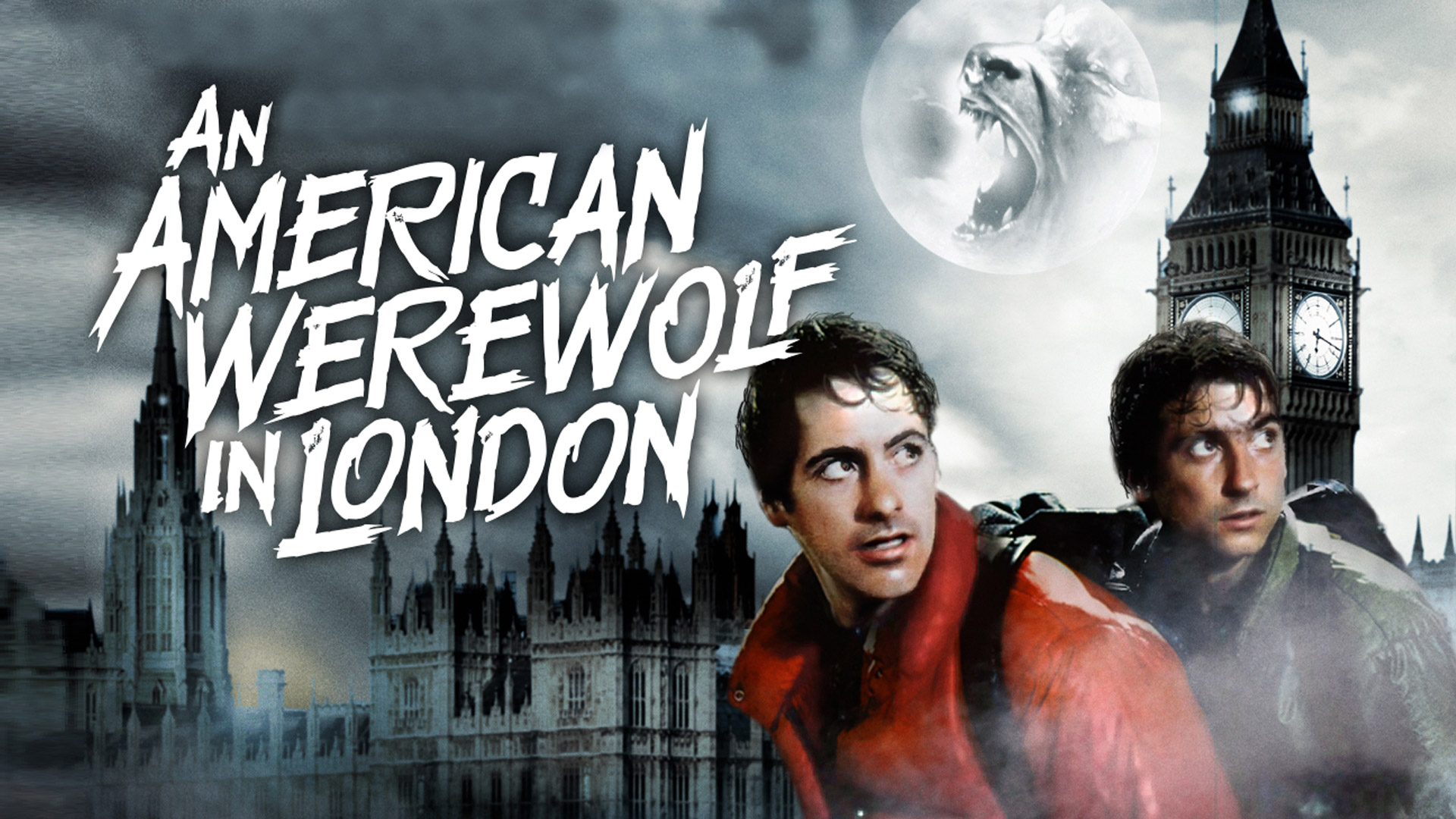 An American Werewolf In London Hollywood Suite An American Werewolf In London Hollywood Suite