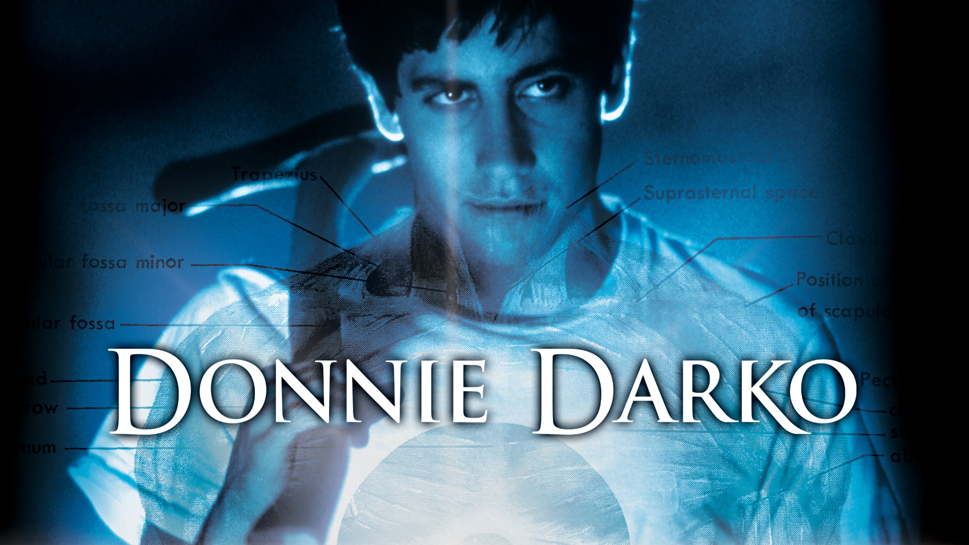 Donnie Darko