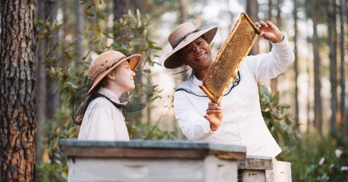 Queen Latifa and Dakota fanning inspect a bee hive in The Secret Lives of Bees